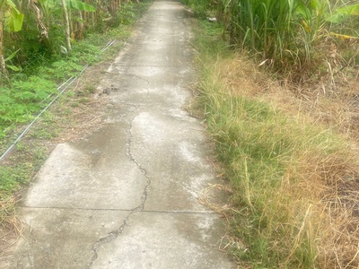 Cần bán 1300m2 đất lúa đường kênh cửa đông 3, phường 2, thị xã Kiến Tường, Tỉnh Long An 5