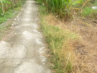 Cần bán 1300m2 đất lúa đường kênh cửa đông 3, phường 2, thị xã Kiến Tường, Tỉnh Long An 4