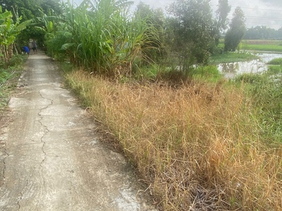 Cần bán 1300m2 đất lúa đường kênh cửa đông 3, phường 2, thị xã Kiến Tường, Tỉnh Long An 7