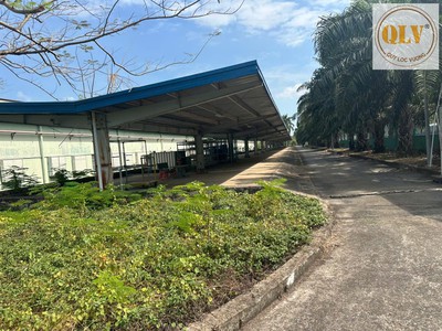 Bán nhà xưởng   KCN MỸ XUÂN, BR-VT   21.439m 2