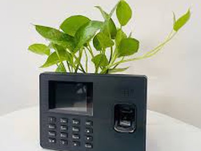 Máy chấm công vân tay ZKTECO W666 Plus 0