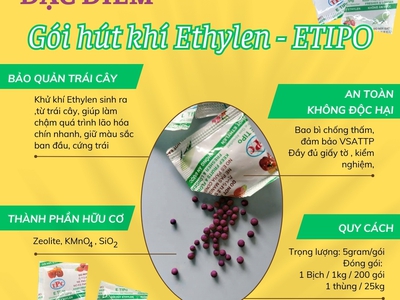 Cách giúp trái cây chậm chín, giúp hỗ trợ xuất khẩu đi xa 0