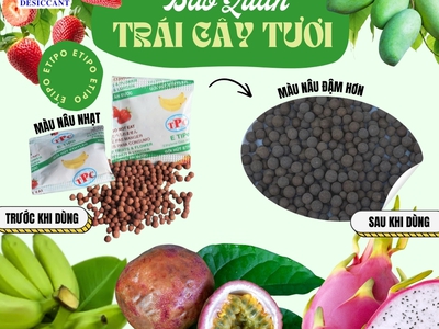 Cách giúp trái cây chậm chín, giúp hỗ trợ xuất khẩu đi xa 2