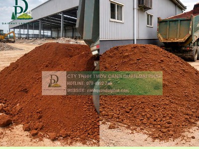 Cung cấp đất san lấp   đất trồng cây   đất sạch   đất trộn tại Đồng Nai 0