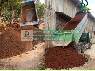Cung cấp đất san lấp   đất trồng cây   đất sạch   đất trộn tại Đồng Nai 3