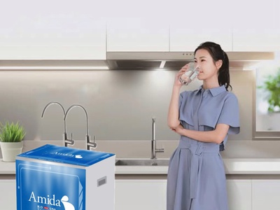 Máy lọc nước RO Amida cao cấp 2 vòi AM-10BL2 0
