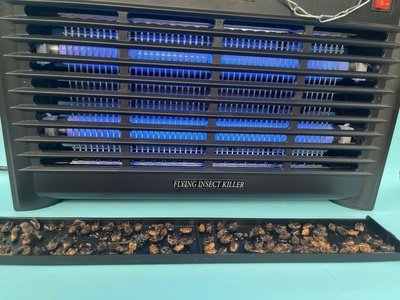 Đèn diệt côn trùng sử dụng lưới điện nhựa cao cấp 1