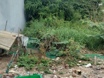 Đất nền khu phân lô, Võ Văn Vân, Xã Tân Vỉnh Lộc, Bình Chánh, 5 m x 30 m, Sổ hồng riêng. 11