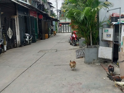 Đất nền khu phân lô, Võ Văn Vân, Xã Tân Vỉnh Lộc, Bình Chánh, 5 m x 30 m, Sổ hồng riêng. 2