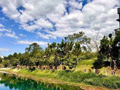 ĐẤT nghỉ dưỡng VIEW HỒ LÀNG OMM BẢO LỘC 1