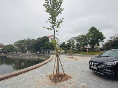 Bán lô đất biệt thự mặt phố Đoàn Nhữ Hài, ph Quang Trung, TP HD, 135m2, mt 7.5m, view hồ 2