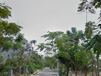 Dự án đảo thịnh vượng Tam đa trường thạnh 56m giá đầu tư 1