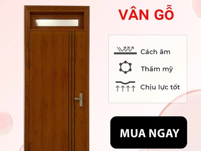 Cửa thép vân gỗ 0