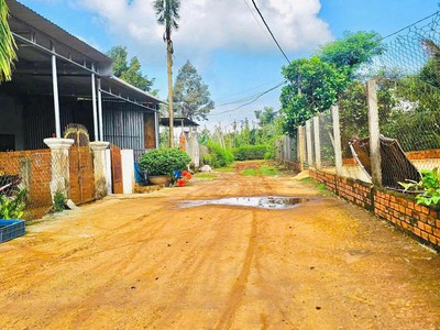 Lô đất sổ đỏ thổ cư phường tân lợi buôn ma thuột, cách trường đại học y dược buôn ma thuột 4 km 3