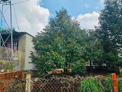 Lô đất sổ đỏ thổ cư phường tân lợi buôn ma thuột, cách trường đại học y dược buôn ma thuột 4 km 4