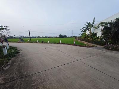 Bán lô đất lúa chuyển thổ đường bê tông 6m giá 1,55 tỷ 3