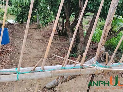 Cần bán gấp lô đất TDP Hy Tái, Phường An Hải   An Dương cũ , TP Hải Phòng 0
