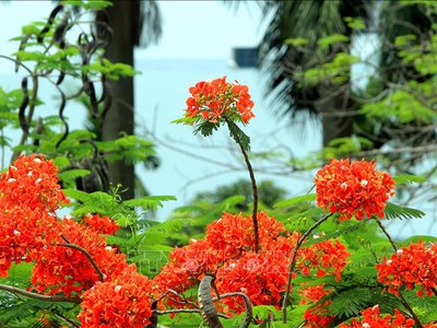 Lắp mạng ineternet - miễn phí công lắp đặt - tặng thêm 4 tháng 0