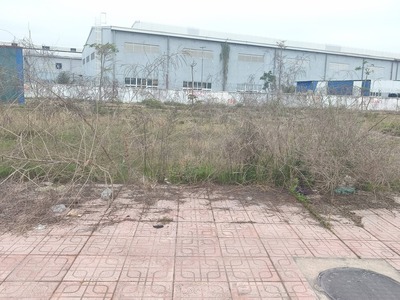 Bán đất 117,5m2 mặt đường ĐỒNG NẺO   ĐỒ SƠN 4