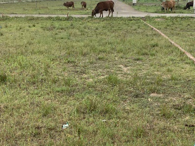 Bán đất 115m  dự án Yên Phong Gateway 4