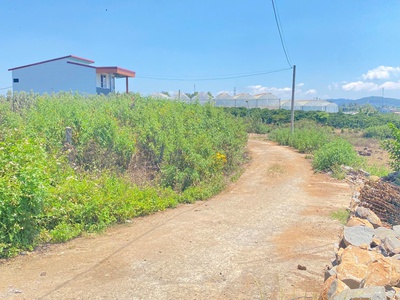 Đất hẻm phân lô phú hội cũ, đức trọng, lâm đồng bao sổ 2