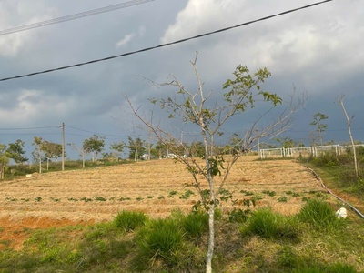  ĐẤT nghỉ dưỡng VIEW HỒ   LÀNG OMM BẢO LỘC 1