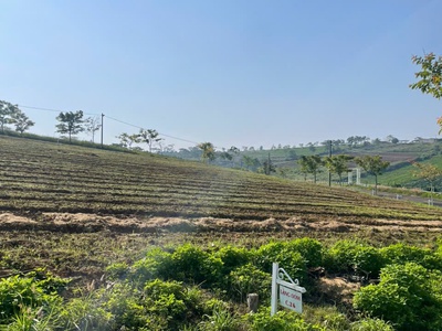  ĐẤT nghỉ dưỡng VIEW HỒ   LÀNG OMM BẢO LỘC 0