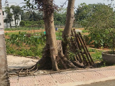 Bán 1800m2 đã chia 14 lô 100 thổ cư đất thôn 7 Phú Cát 2 mặt đường oto tránh nhau 1