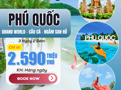 Check-in Phú Yên: Mũi Điện đón bình minh Vũng Rô xanh ngọc Hoa vàng thơ mộng 1