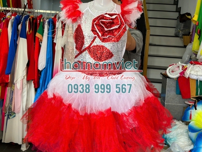 Bán váy múa trẻ em tại tphcm 14