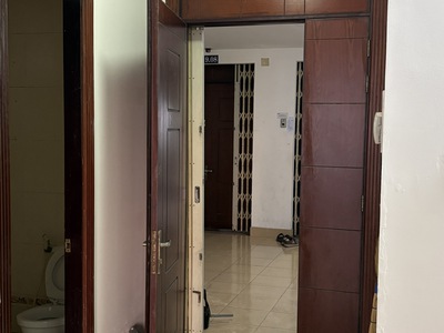 Căn hộ him lam 6A Nam Sài Gòn 4