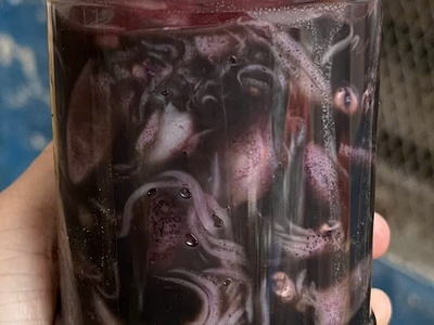 Mắm mực miền Trung 2