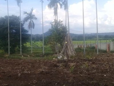 Bán đất nhà vườn ea kao - hơn 4500m2 - có thổ cư - hồ cá - view cánh đồng - làm nhà vườn cực đẹp 2