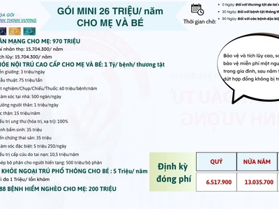 Tìm Đại lý tư vấn bảo hiểm nhân thọ và sức khỏe cho mẹ và bé uy tín tận tâm tại TPHCM 0