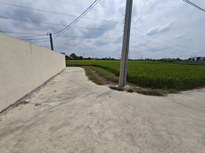 Bán lô đất thổ lúa làm nhà vườn xã nhựt tảo giá 4,3 tỷ 3