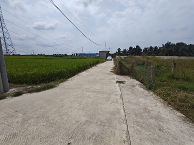 Bán lô đất thổ lúa làm nhà vườn xã nhựt tảo giá 4,3 tỷ 4