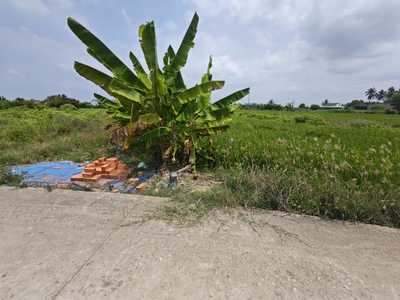 Bán lô đất thổ lúa làm nhà vườn xã nhựt tảo giá 3,7 tỷ 2