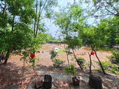 Đất view sông - sát bên cầu bình khánh  . 4