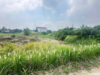 Bán đất mặt tiền đường Rừng Sác , đối diện cây xăng Hiệp Quế , Bình Khánh, Cần Giờ 0