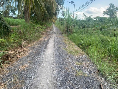 Đất lúa ấp 6 bình đức bến lức - dt : 2000m2   1 tỷ 6 hết diện tích 0