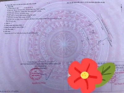 Đất lúa ấp 6 bình đức bến lức - dt : 2000m2   1 tỷ 6 hết diện tích 3