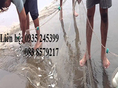 Lưới kéo cá làm theo yêu cầu 5
