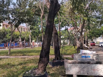 CHÍNH CHỦ bán đất mặt đường - Vị trí siêu đẹp - Phường Bình Tân, TP HCM. 1