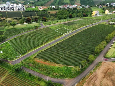 Bán đất 1000m2 view hồ thành phố bảo lộc 3