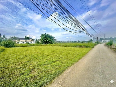 Đất giá tốt Bến Lức - 125m - Chỉ 2,5 tỷ 8