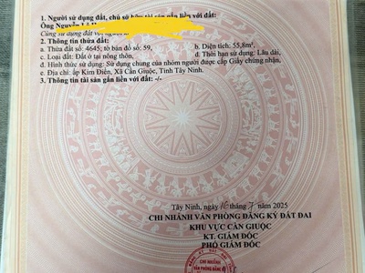 Nhà ngay đầu đường tân phước giáp mặt tiền , chính chủ shr cần bán 4