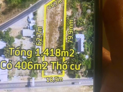 Anh việt kiều  ko phải anh hoàng kiều nha 1