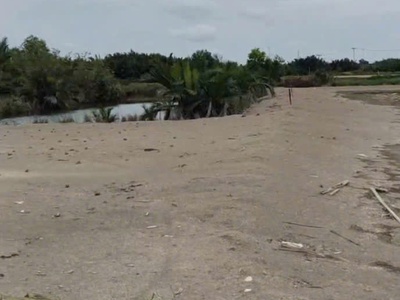 Bán 555m2 đất sẵn sổ mặt tiền đường cá súc-bình khánh-cần giờ 3