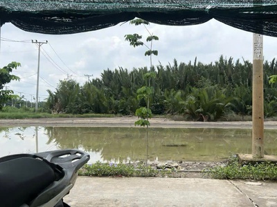 Bán 555m2 đất sẵn sổ mặt tiền đường cá súc-bình khánh-cần giờ 2