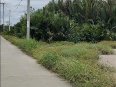 Bán 555m2 đất sẵn sổ mặt tiền đường cá súc-bình khánh-cần giờ 4